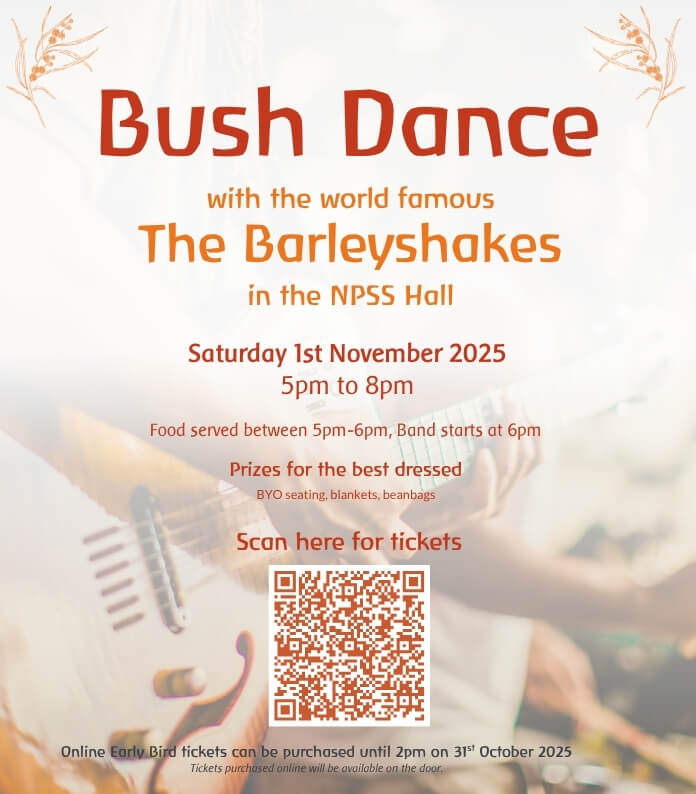 Image of guitar with the words Bush Dance