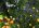 Gardening Group