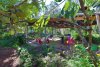 Noosa Pengari Steiner School campus